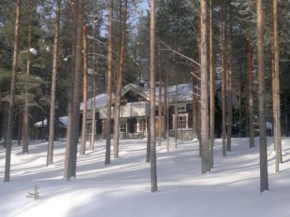 Holiday Home Kangastus a Kemijärvi